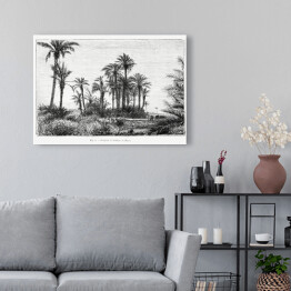 Obraz na płótnie Tropikalna wyspa czarno biały krajobraz rysunek