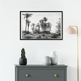 Plakat w ramie Tropikalna wyspa czarno biały krajobraz rysunek