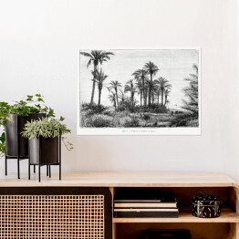 Plakat Tropikalna wyspa czarno biały krajobraz rysunek