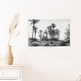Plakat samoprzylepny Tropikalna wyspa czarno biały krajobraz rysunek