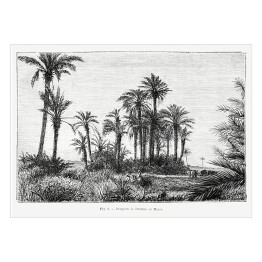 Plakat samoprzylepny Tropikalna wyspa czarno biały krajobraz rysunek