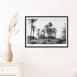 Plakat w ramie Tropikalna wyspa czarno biały krajobraz rysunek