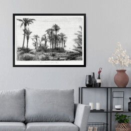 Obraz w ramie Tropikalna wyspa czarno biały krajobraz rysunek