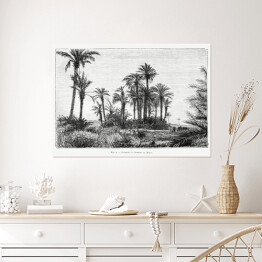 Plakat Tropikalna wyspa czarno biały krajobraz rysunek