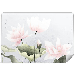 Fototapeta Pastelowe lilie wodne na tle ombre w odcieniach szarości