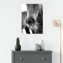 Plakat samoprzylepny Stylowa ilustracja z koniem w odcieniach szarości