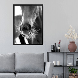 Obraz w ramie Stylowa ilustracja z koniem w odcieniach szarości
