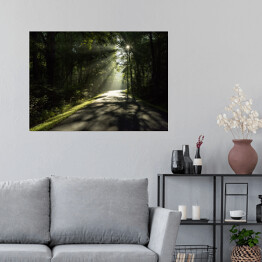 Plakat samoprzylepny Droga w lesie