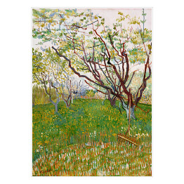 Plakat Vincent van Gogh Kwitnący sad. Reprodukcja obrazu