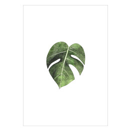 Plakat samoprzylepny Tropikalny listek