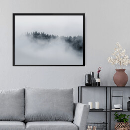 Obraz w ramie Drzewa otoczone gęstą mgłą w pochmurny dzień