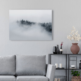 Obraz na płótnie Drzewa otoczone gęstą mgłą w pochmurny dzień