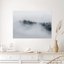 Plakat samoprzylepny Drzewa otoczone gęstą mgłą w pochmurny dzień