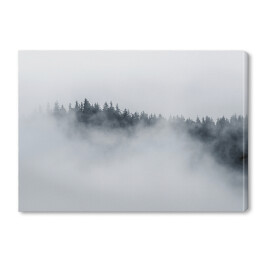 Obraz na płótnie Drzewa otoczone gęstą mgłą w pochmurny dzień