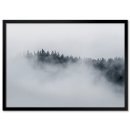Plakat w ramie Drzewa otoczone gęstą mgłą w pochmurny dzień