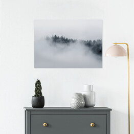 Plakat samoprzylepny Drzewa otoczone gęstą mgłą w pochmurny dzień