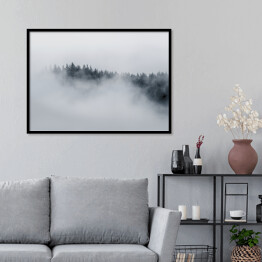 Plakat w ramie Drzewa otoczone gęstą mgłą w pochmurny dzień