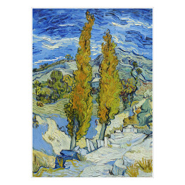 Plakat Vincent van Gogh "Topole w Saint-Rémy". Reprodukcja obrazu