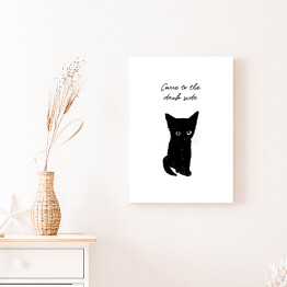 Obraz klasyczny Czarny kot z napisem "Come to the dark side"