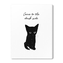 Obraz na płótnie Czarny kot z napisem "Come to the dark side"