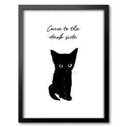 Obraz w ramie Czarny kot z napisem "Come to the dark side"