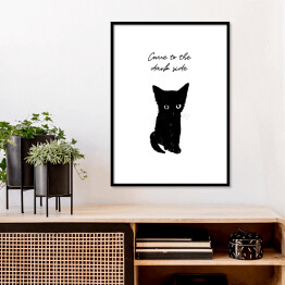 Plakat w ramie Czarny kot z napisem "Come to the dark side"