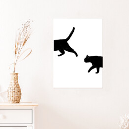 Plakat Spacerujące koty