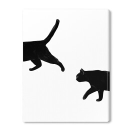 Obraz na płótnie Spacerujące koty