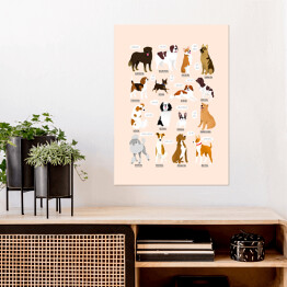 Plakat Ilustracja ras psów z różnych krajów