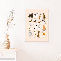 Plakat Ilustracja ras psów z różnych krajów