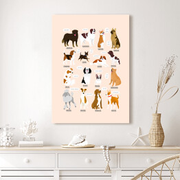 Obraz klasyczny Ilustracja ras psów z różnych krajów