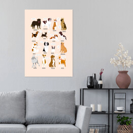 Ilustracja ras psów z różnych krajów