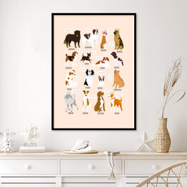 Plakat w ramie Ilustracja ras psów z różnych krajów