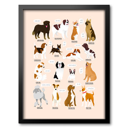 Obraz w ramie Ilustracja ras psów z różnych krajów