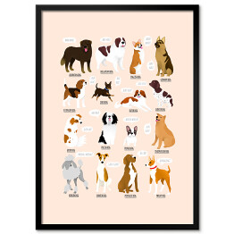 Plakat w ramie Ilustracja ras psów z różnych krajów