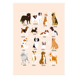 Plakat samoprzylepny Ilustracja ras psów z różnych krajów