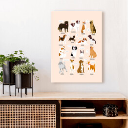 Obraz na płótnie Ilustracja ras psów z różnych krajów