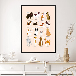 Obraz w ramie Ilustracja ras psów z różnych krajów