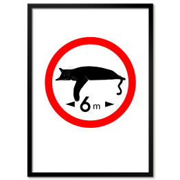 Plakat w ramie Długość 6 metrów - kocie znaki