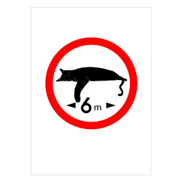 Plakat samoprzylepny Długość 6 metrów - kocie znaki