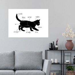 Plakat samoprzylepny Poradnik "Jak głaskać kota?"