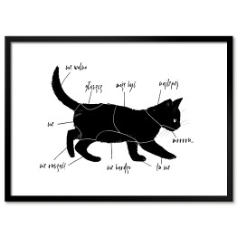 Plakat w ramie Poradnik "Jak głaskać kota?"