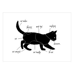 Plakat samoprzylepny Poradnik "Jak głaskać kota?"