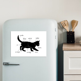 Magnes dekoracyjny Poradnik "Jak głaskać kota?"