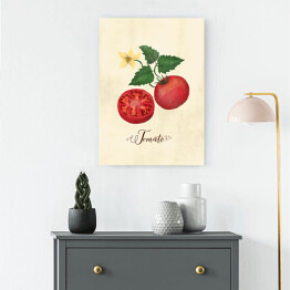 Obraz na płótnie Ilustracja - pomidor