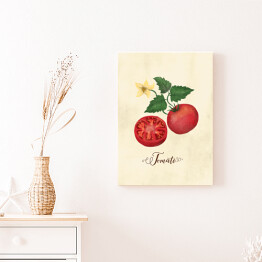 Obraz klasyczny Ilustracja - pomidor
