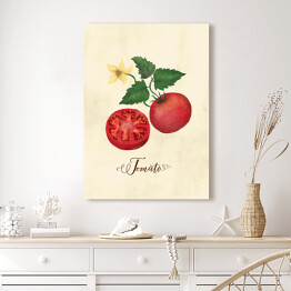 Obraz klasyczny Ilustracja - pomidor
