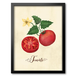 Obraz w ramie Ilustracja - pomidor