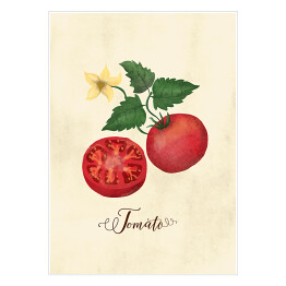 Plakat samoprzylepny Ilustracja - pomidor