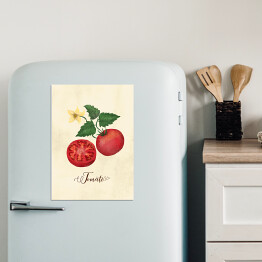Magnes dekoracyjny Ilustracja - pomidor